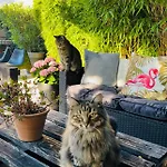 Le 8 Bed & Breakfast Mutzig