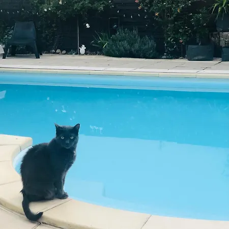 Bed & Breakfast Le 8