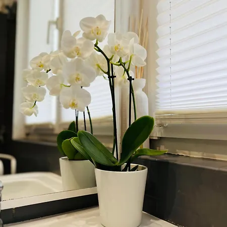 Le 8 Alojamento de Acomodação e Pequeno-almoço 3*