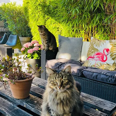 Le 8 Bed & Breakfast Mutzig