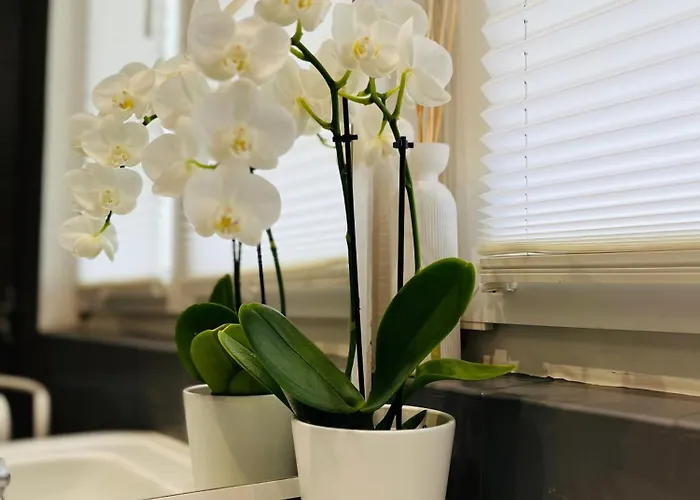 Le 8 Bed & Breakfast 3*