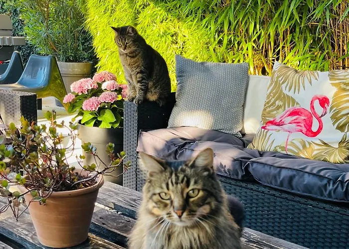 Le 8 Bed & Breakfast Mutzig